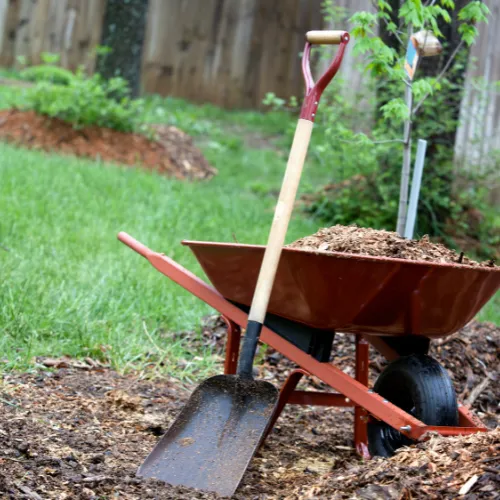 anchor landscape cleanup sp1 optimized