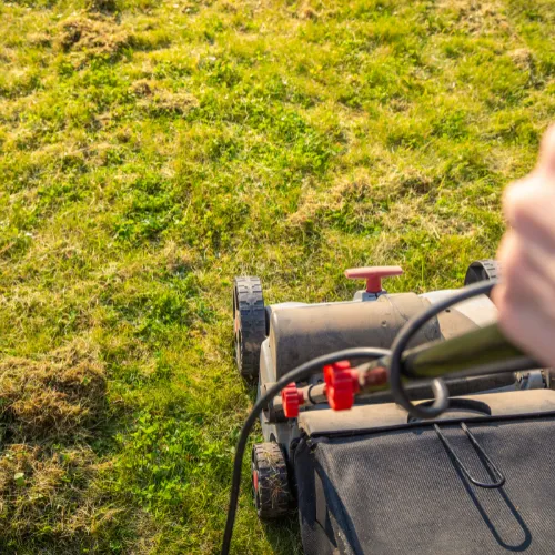 anchor lawn maintenance sp1 optimized